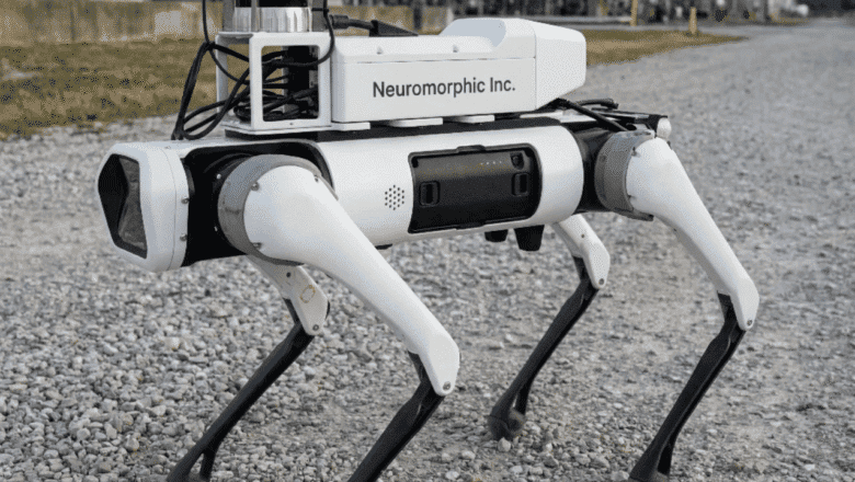 Neuromorphic Girişimi: