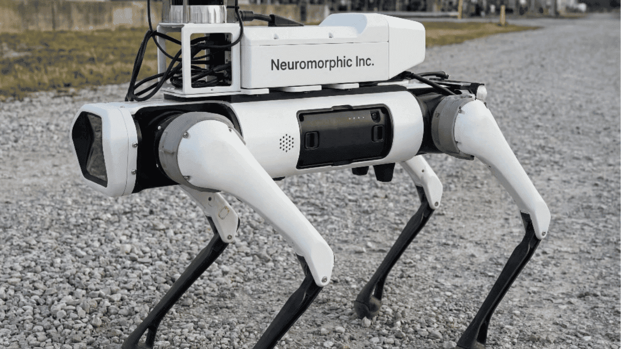 Neuromorphic Girişimi: