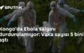 Ebola salgını
