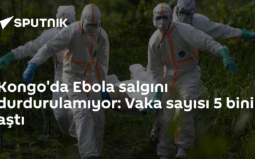 Ebola salgını