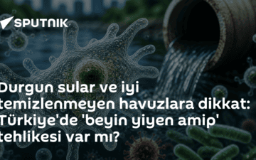 beyin yiyen amip