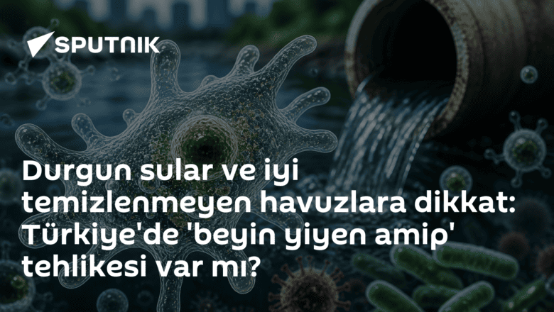 beyin yiyen amip
