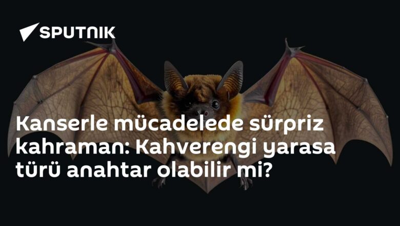 Yarasaların kanser direnci