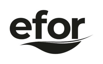 Efor Yatırım Payları