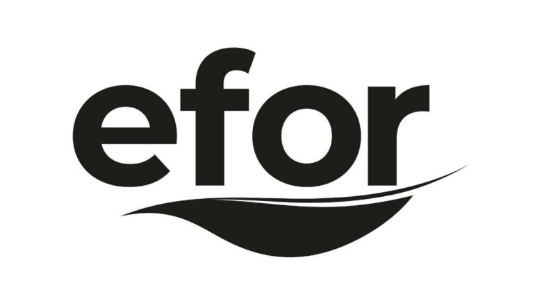 Efor Yatırım Payları