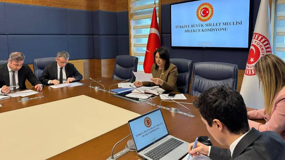 Dilekçe Komisyonu