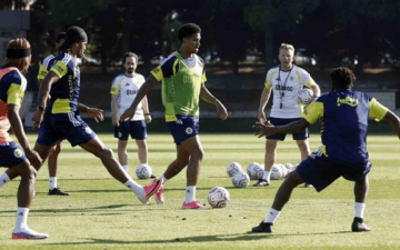 Fenerbahçe Sturm