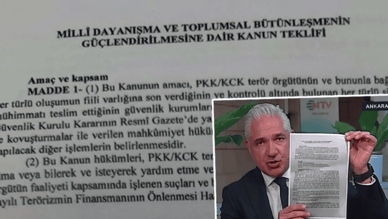Çerçeve Yasa