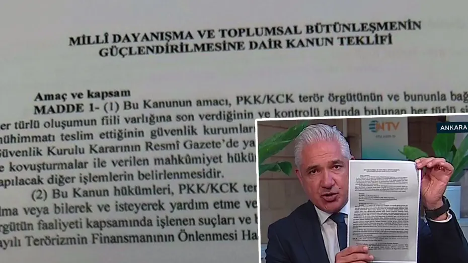 Çerçeve Yasa
