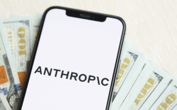 Anthropic Değerleme