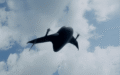 Airbound
