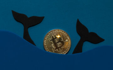 Bitcoin balinaları