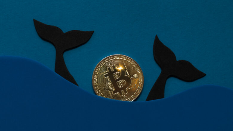 Bitcoin balinaları