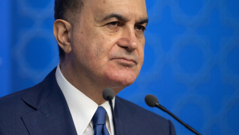 Mavi Vatan