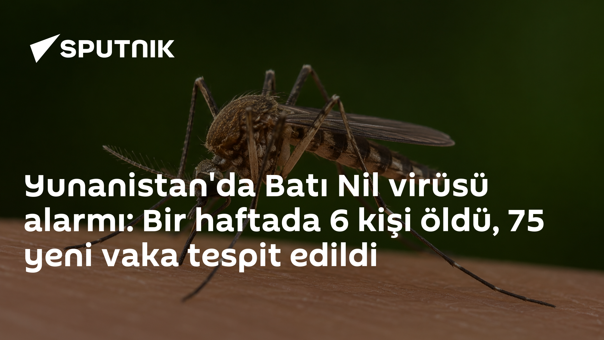 Batı Nil Virüsü