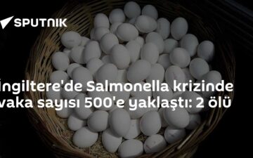 yumurtalar