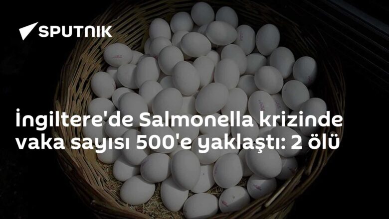 yumurtalar