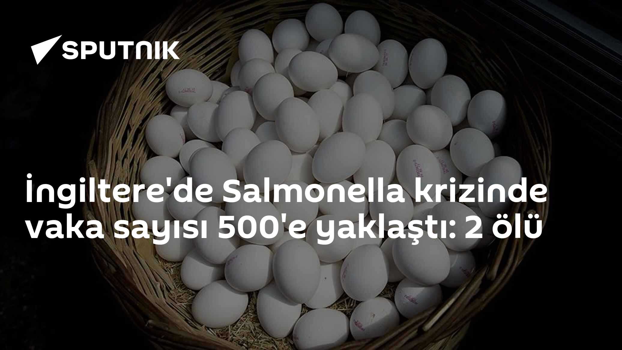 yumurtalar