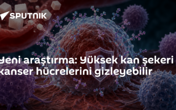 glikokaliks