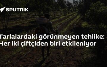 Pestisit Zehirlenmesi