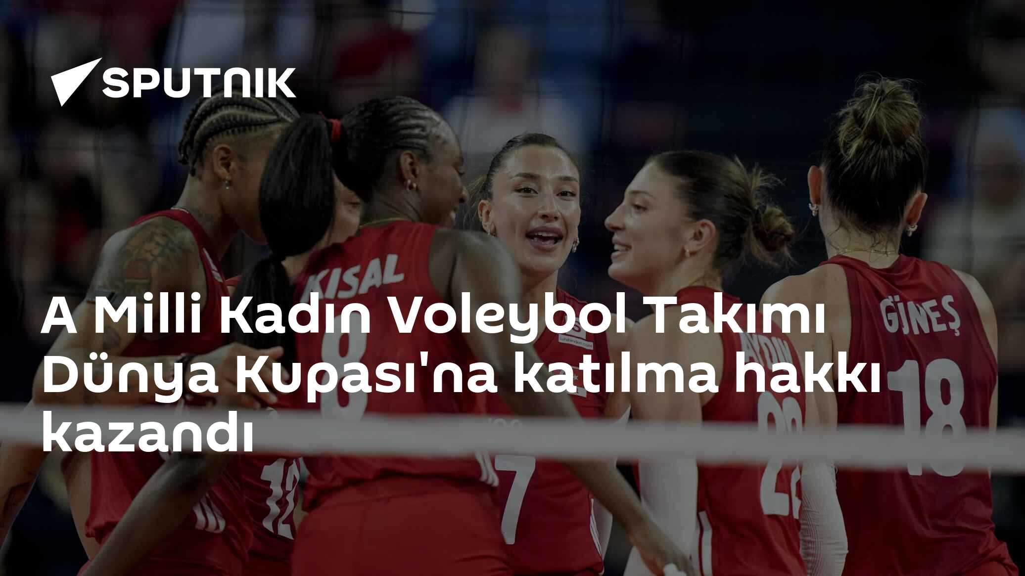 Milli Kadın Voleybol Takımı