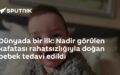 nitinol yaylar