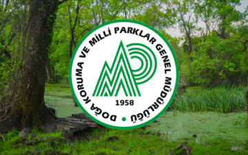 Çamkoru Tabiat Parkı