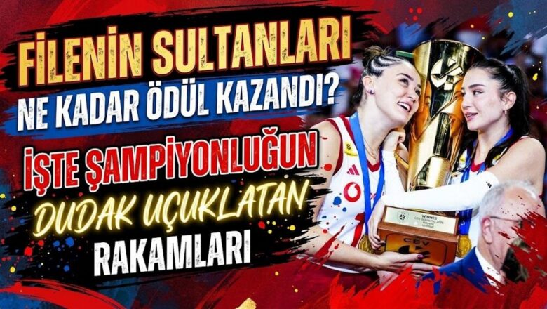 Türkiye milli voleybol takımı